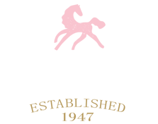 Pink Pony -